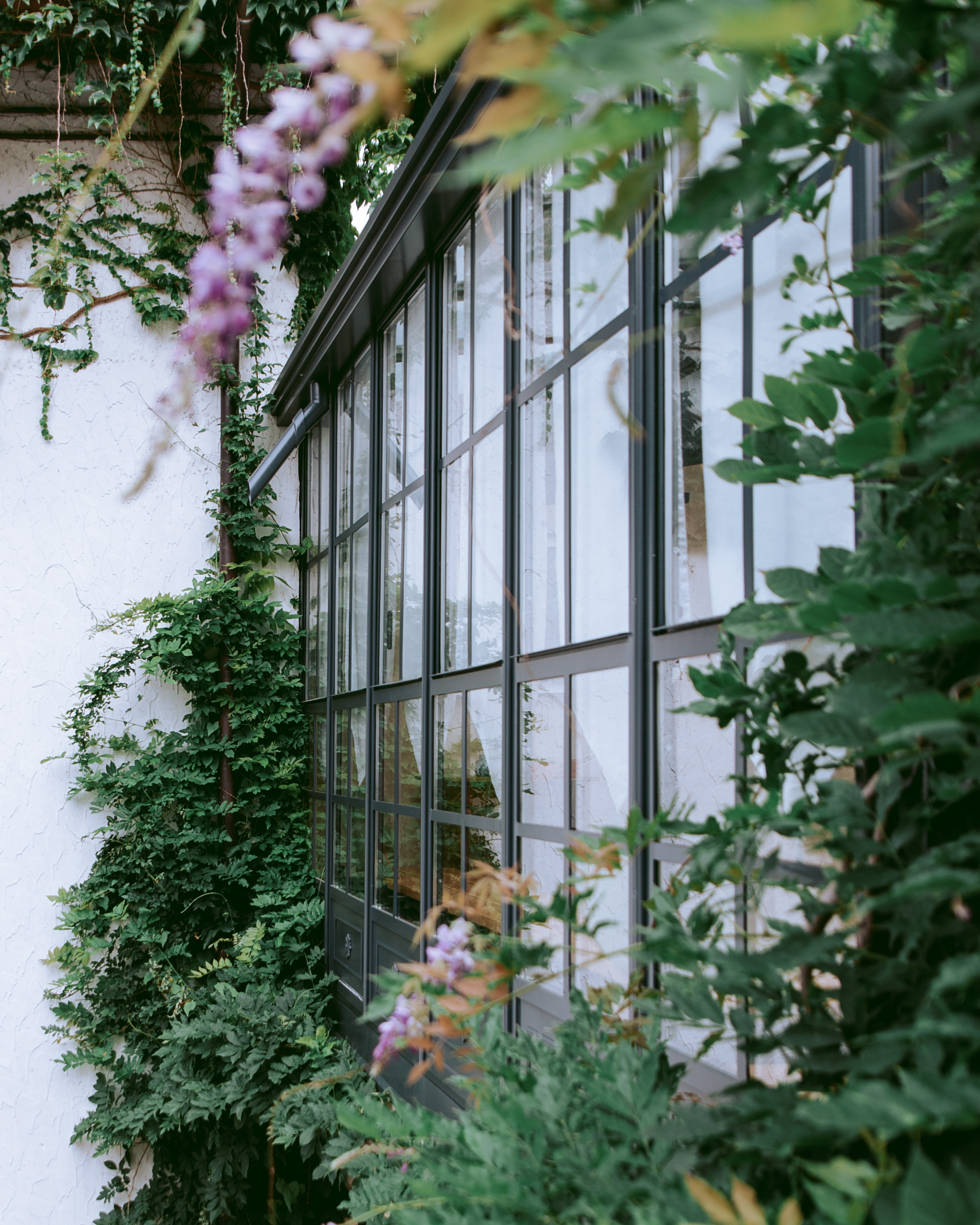 Giardino d'inverno - immagine 1