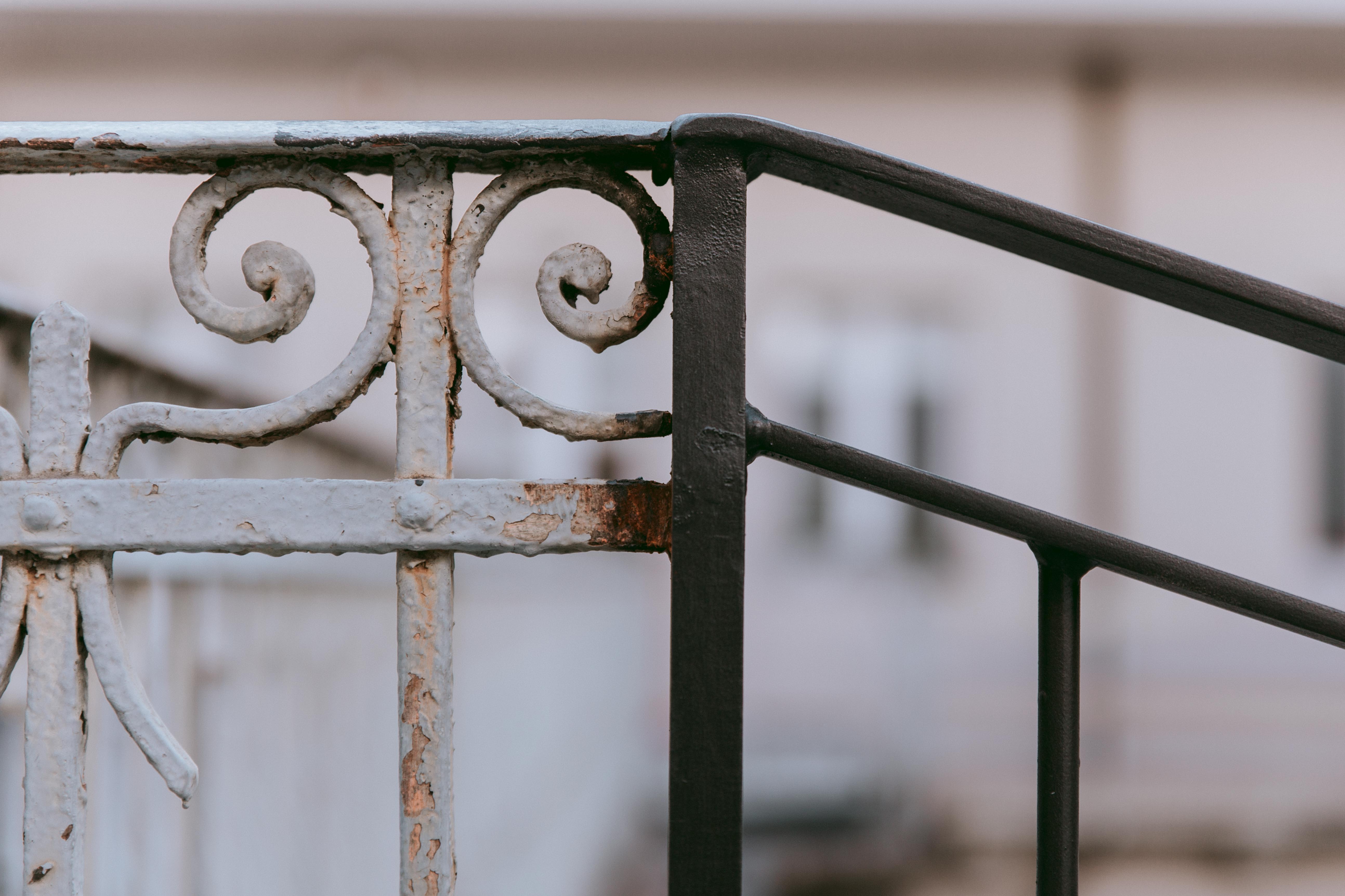 Lombroso 13 - immagine 3